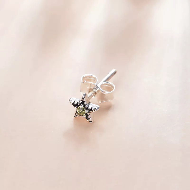 (afbeelding voor) Pandora Style Enkele Starmount Oorknopjes - SCE1066 - Bekijken 2