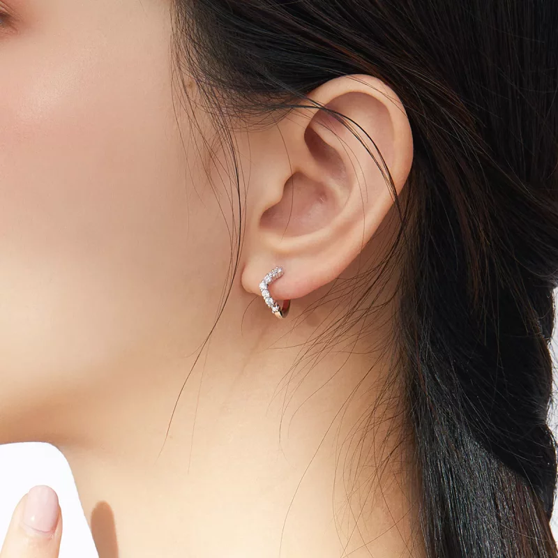 (afbeelding voor) Pandora Style Geometrie Oorringen - SCE844 - Bekijken 6
