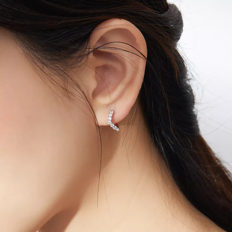 (afbeelding voor) Pandora Style Geometrie Oorringen - SCE844 - Bekijken 7