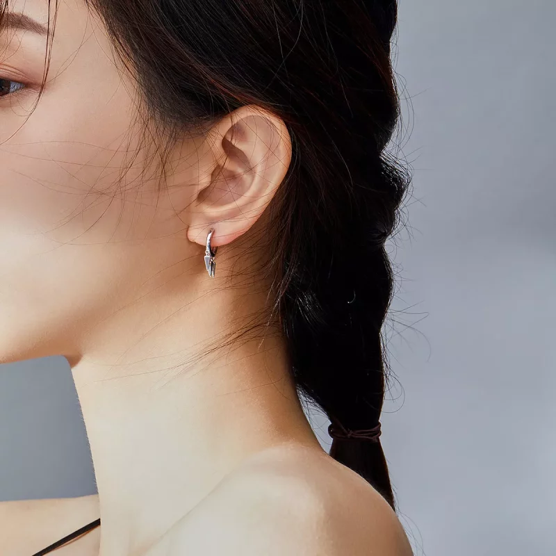(afbeelding voor) Pandora Style Geometrisch Oorhangers - SCE779 - Bekijken 7