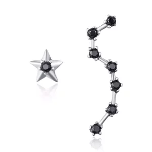 (afbeelding voor) Pandora Style Grote Beer Oorknopjes - SCE166