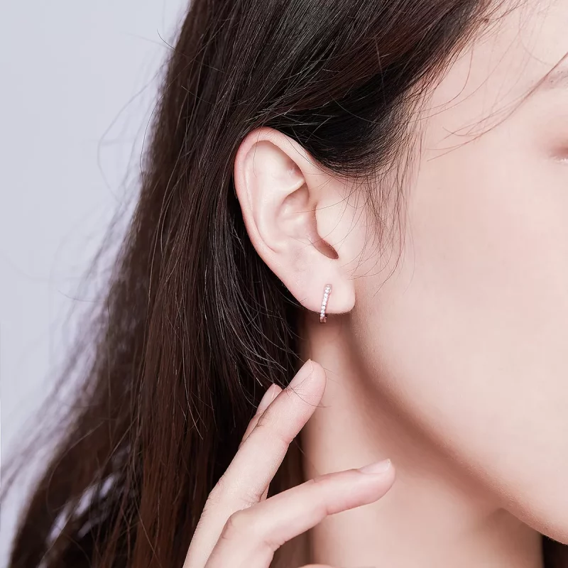 (afbeelding voor) Pandora Style kleine cirkel Oorringen - SCE498-A - Bekijken 7