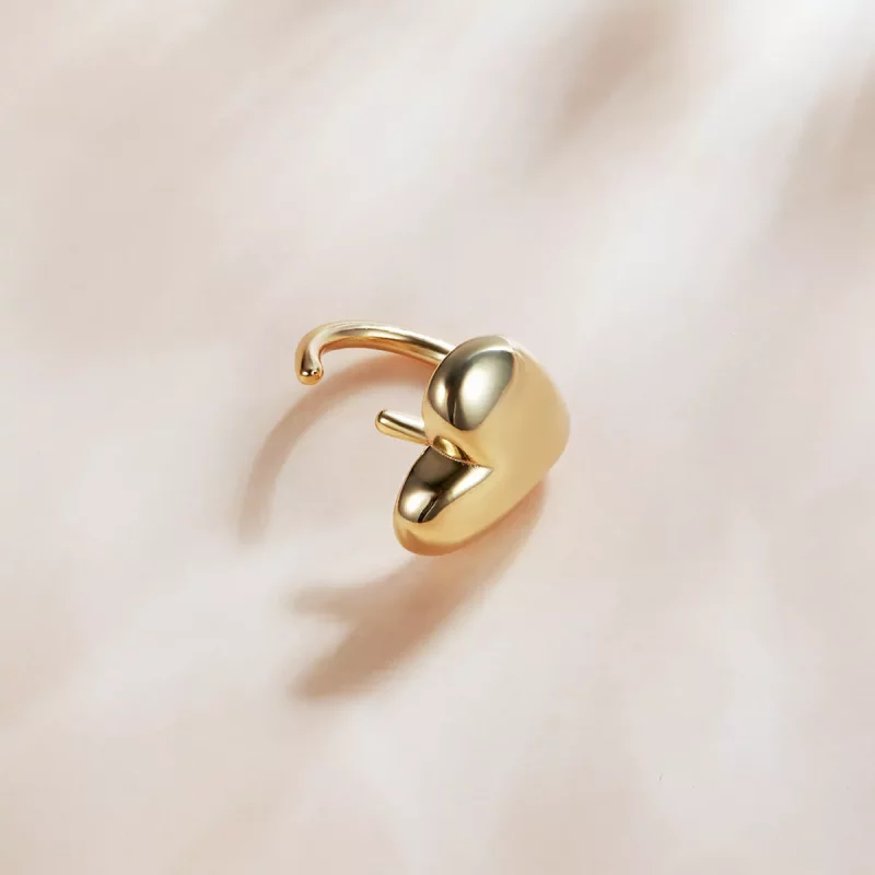 (afbeelding voor) Pandora Style Mysterieuze Spanje Liefde Oorknopjes - SCE1153 - Bekijken 4