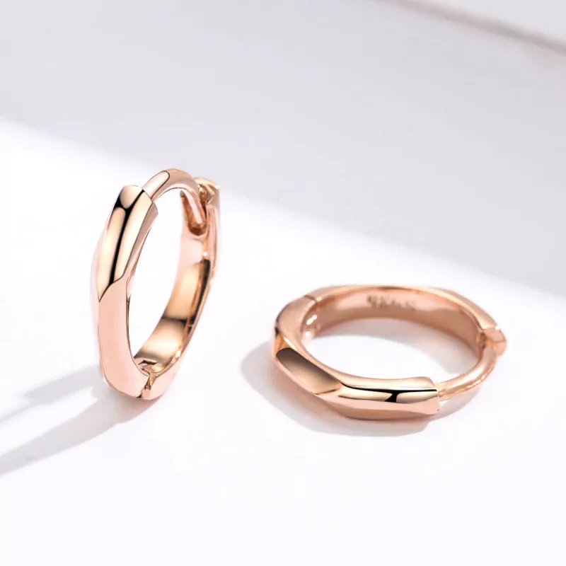 (afbeelding voor) Pandora Style Rose Eenvoudig Oorringen - BSE119 - Bekijken 4