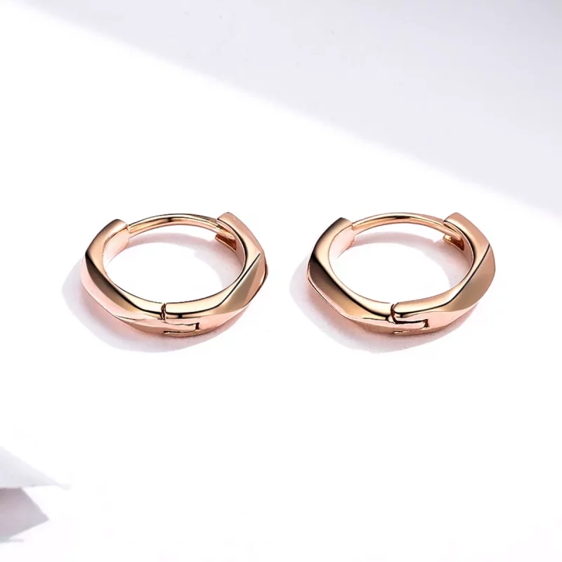 (afbeelding voor) Pandora Style Rose Eenvoudig Oorringen - BSE119 - Bekijken 6
