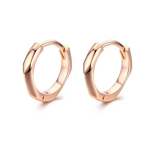 (afbeelding voor) Pandora Style Rose Eenvoudig Oorringen - BSE119