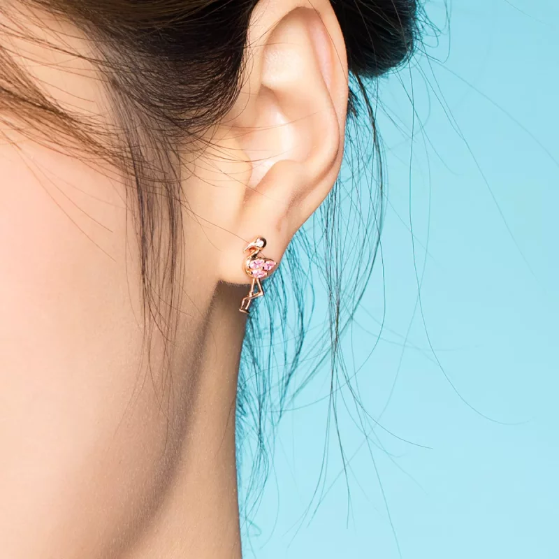 (afbeelding voor) Pandora Style Rose Reuzenrad Oorknopjes - BSE120 - Bekijken 6