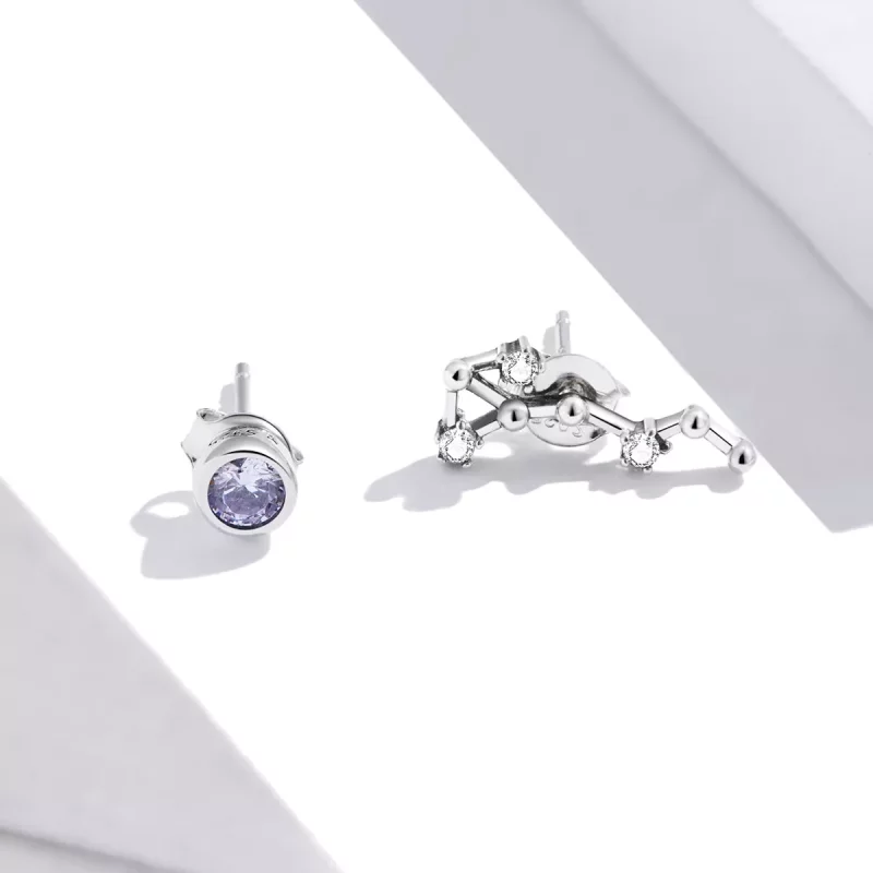 (afbeelding voor) Pandora Style Sterrenhemel Oorknopjes - SCE912-8 - Bekijken 3