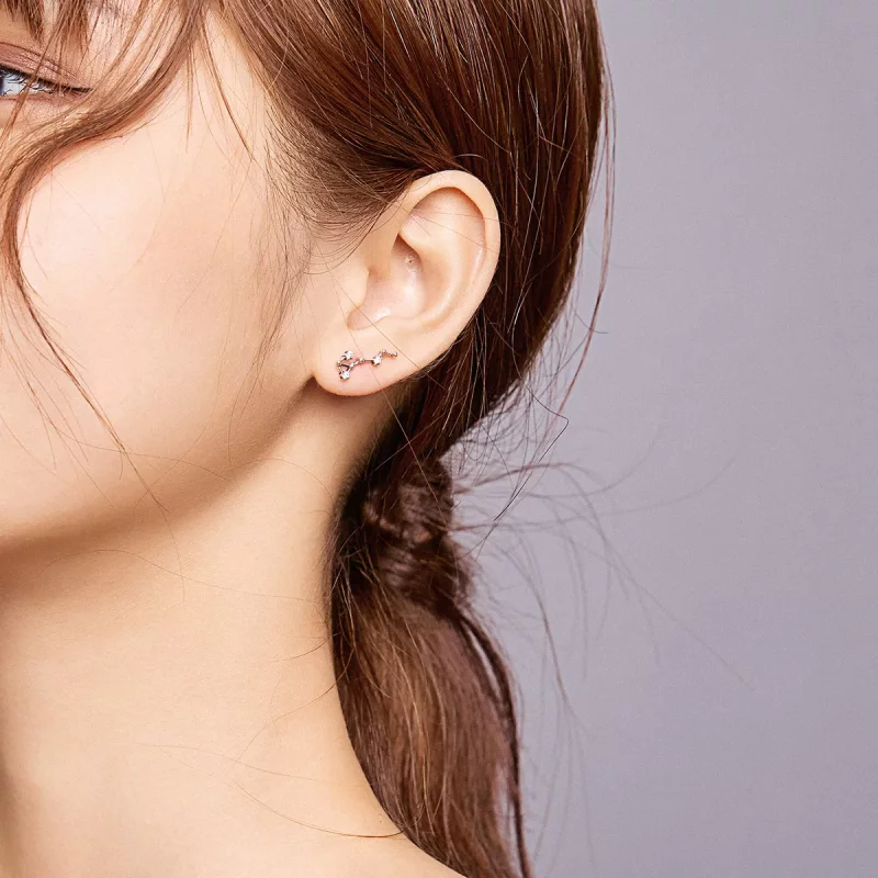 (afbeelding voor) Pandora Style Sterrenhemel Oorknopjes - SCE912-8 - Bekijken 7