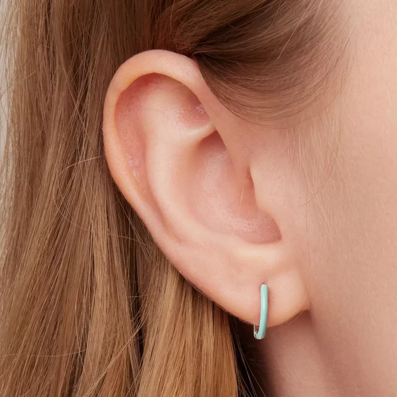 (afbeelding voor) Pandora Style Dubbele cirkel Oorbellen - SCE1454 - Bekijken 5