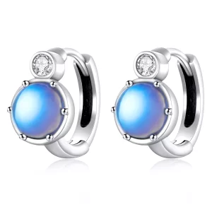 Pandora Style Eenvoudige symfonie Oorbellen - SCE1411 (afbeelding voor) Pandora Style Eenvoudige symfonie Oorbellen - SCE1411