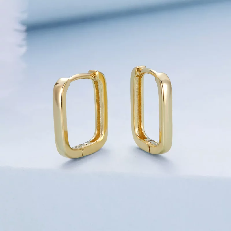 (afbeelding voor) Pandora Style Frans Oorbellen - BSE478-B - Bekijken 8