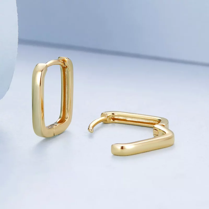 (afbeelding voor) Pandora Style Frans Oorbellen - BSE478-B - Bekijken 9