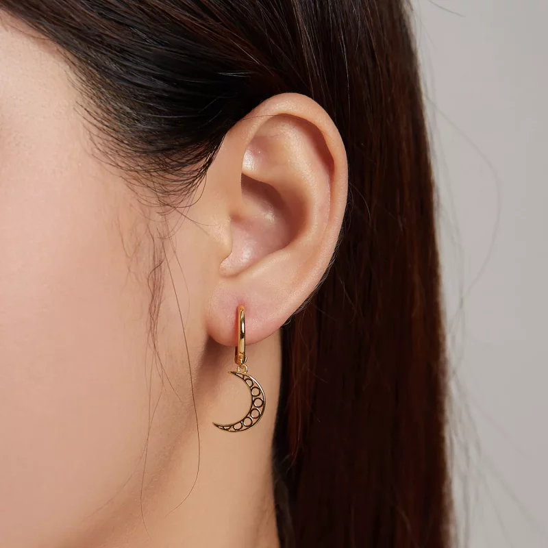 (afbeelding voor) Pandora Style Minimalisme - Halve maan Oorbellen - SCE1191 - Bekijken 4