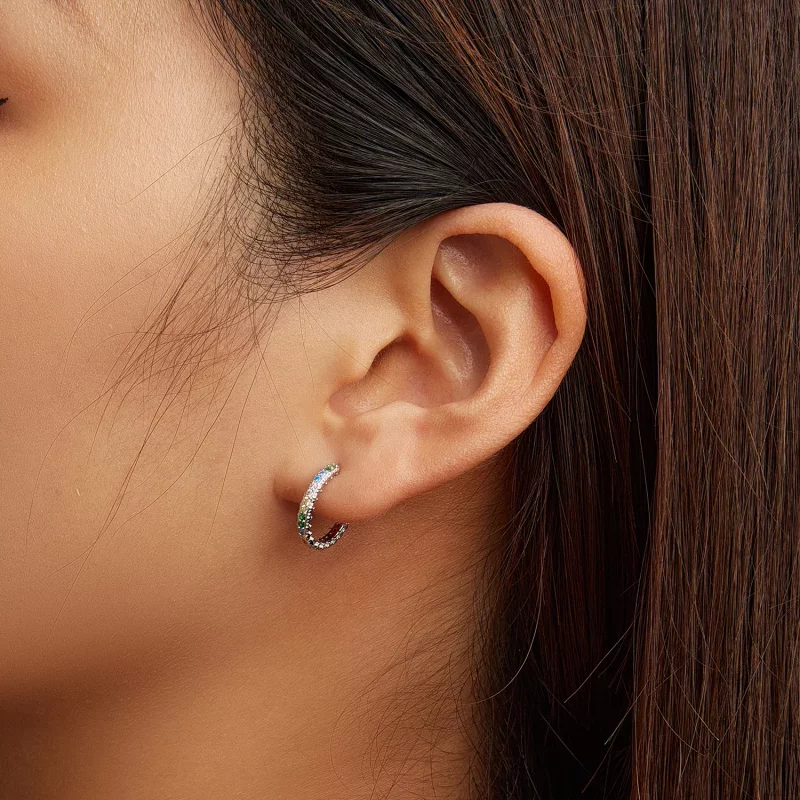 (afbeelding voor) Pandora Style Patroon Kleur Zirkonium Oorbellen - BSE683 - Bekijken 6