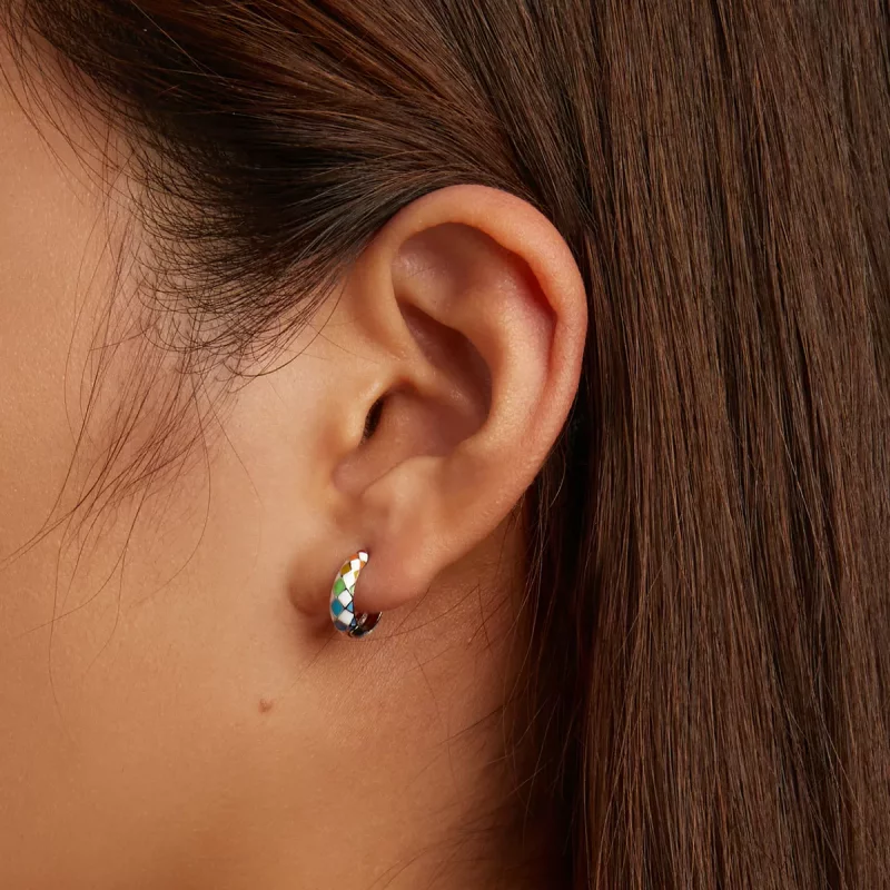 (afbeelding voor) Pandora Style Regenboog Dambord Oorbellen - SCE1351 - Bekijken 8