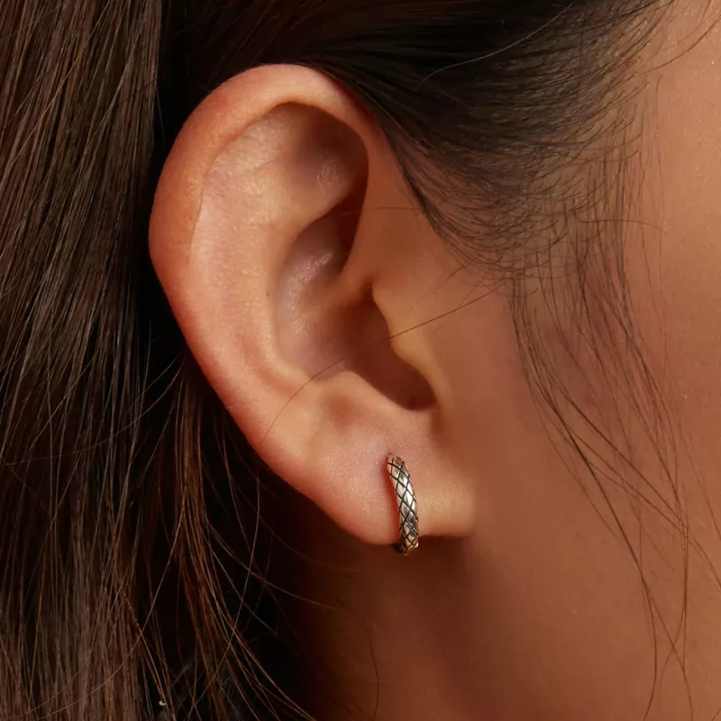 (afbeelding voor) Pandora Style Slangenpatroon Oorbellen - SCE1354 - Bekijken 5