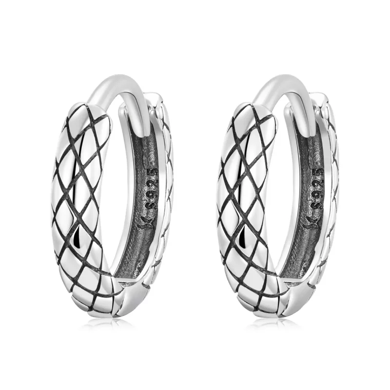 (afbeelding voor) Pandora Style Slangenpatroon Oorbellen - SCE1354