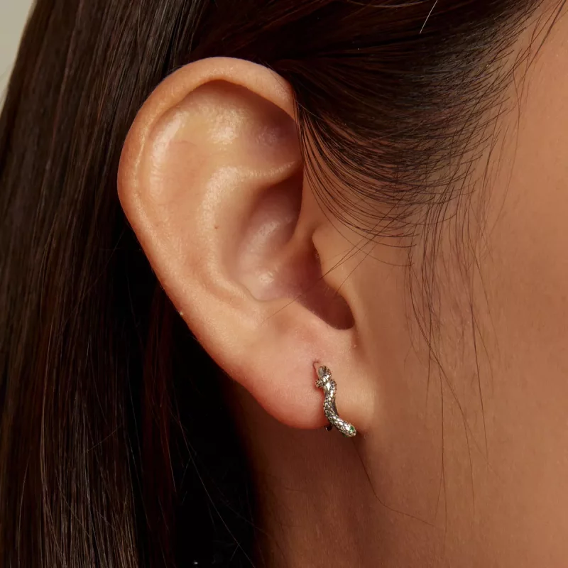 (afbeelding voor) Pandora Style Spirit Slang Oorbellen - SCE1357 - Bekijken 5