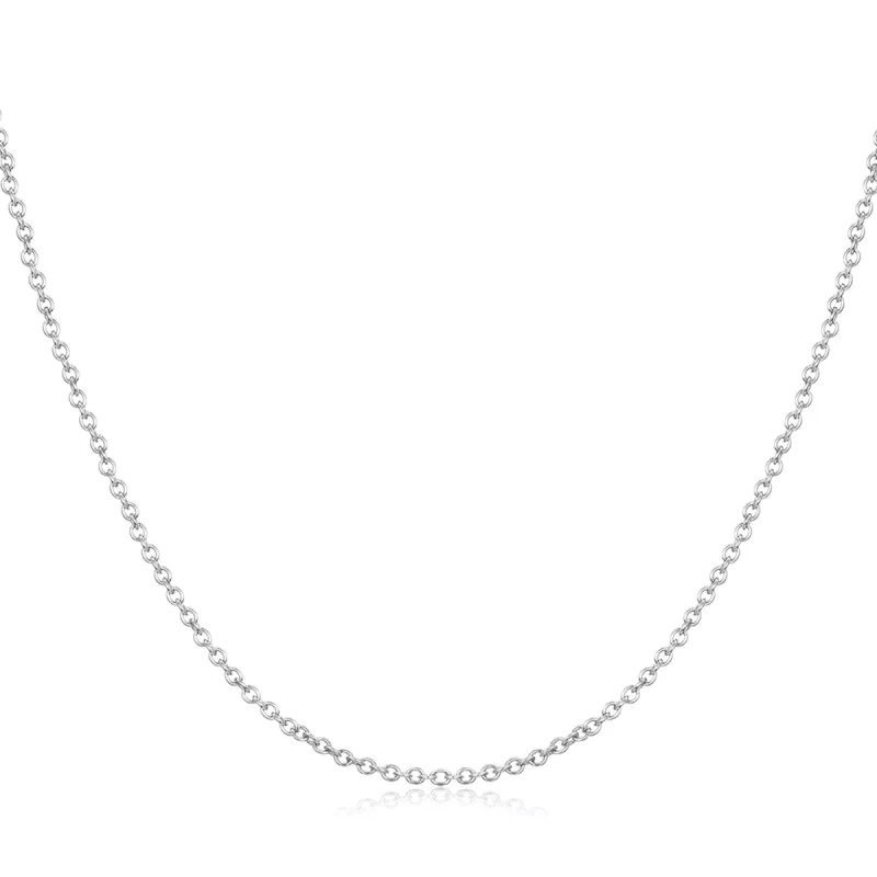 (afbeelding voor) Pandora Style Basisch Ketting - BSN228