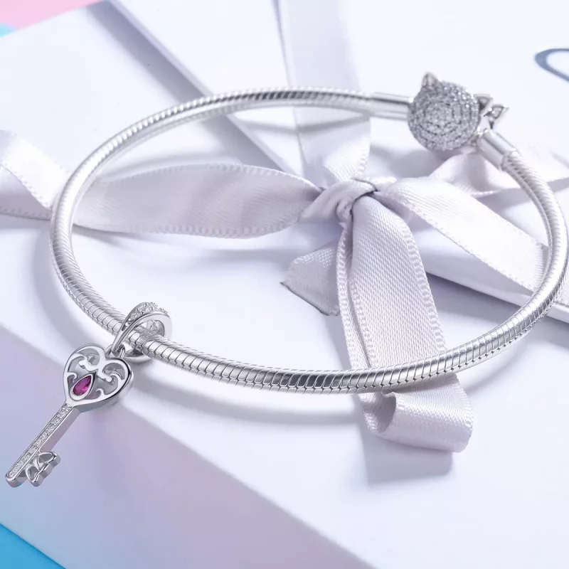 (afbeelding voor) Pandora Style De sleutel tot geluk Hanger - SCC791 - Bekijken 4