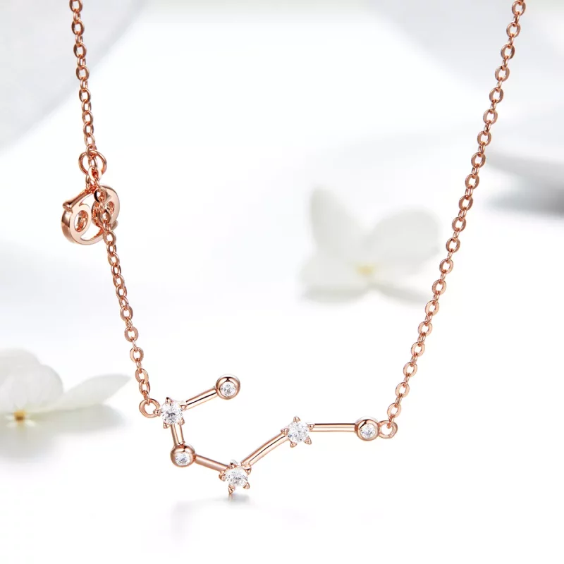 (afbeelding voor) Pandora Style Kanker Ketting - BSN018 - Bekijken 2