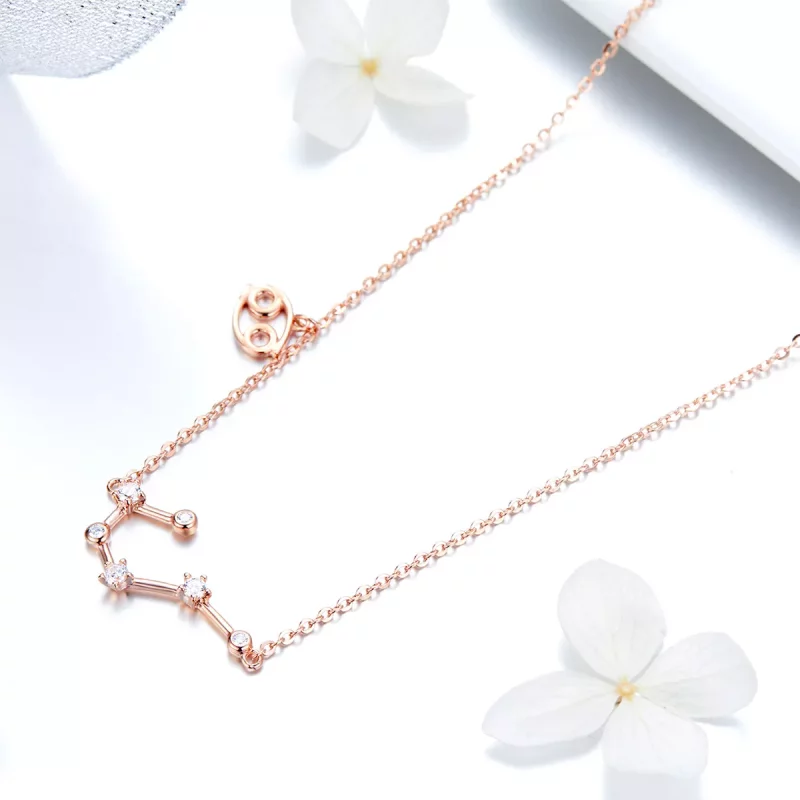 (afbeelding voor) Pandora Style Kanker Ketting - BSN018 - Bekijken 3