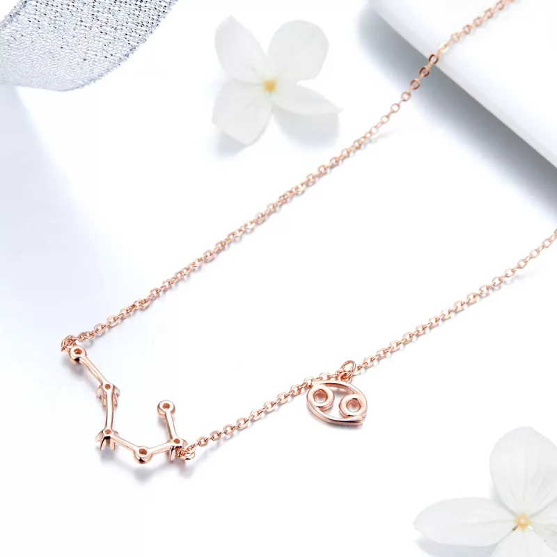 (afbeelding voor) Pandora Style Kanker Ketting - BSN018 - Bekijken 4