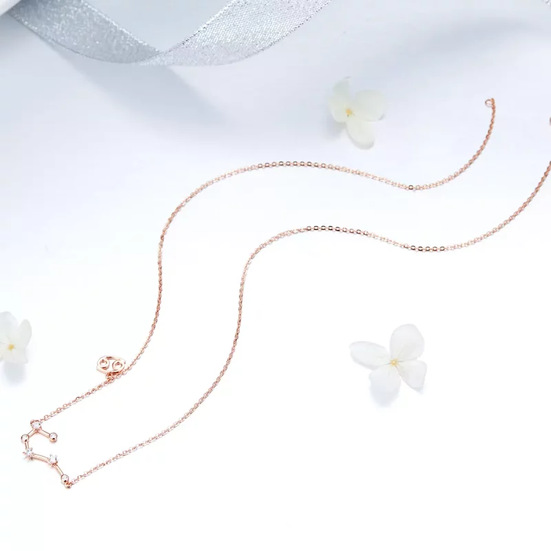 (afbeelding voor) Pandora Style Kanker Ketting - BSN018 - Bekijken 5
