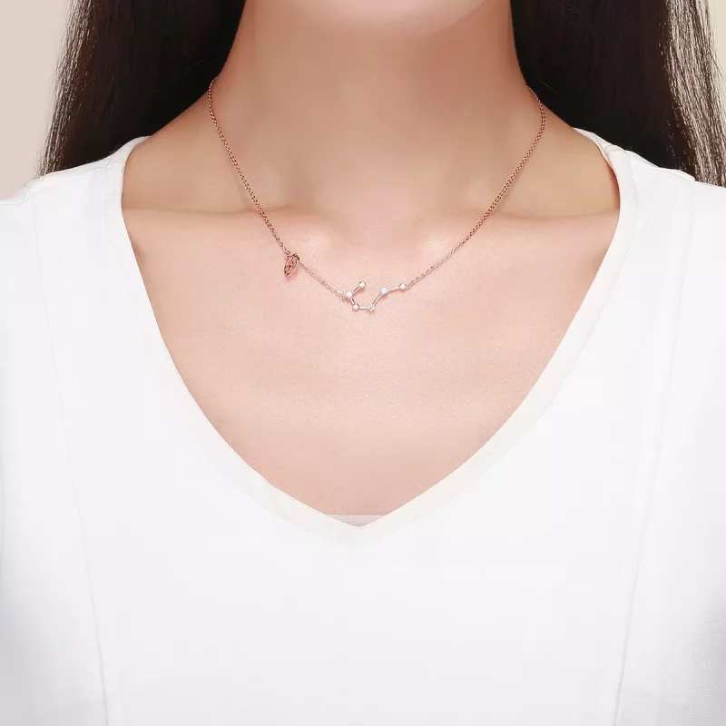 (afbeelding voor) Pandora Style Kanker Ketting - BSN018 - Bekijken 6