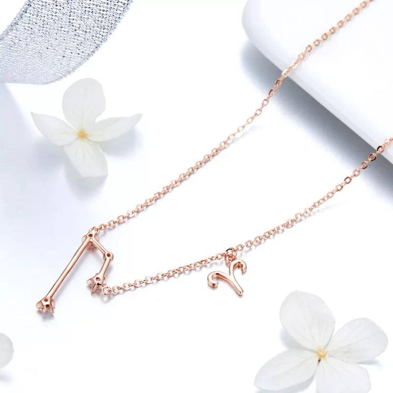 (afbeelding voor) Pandora Style Ram Ketting - BSN023 - Bekijken 4