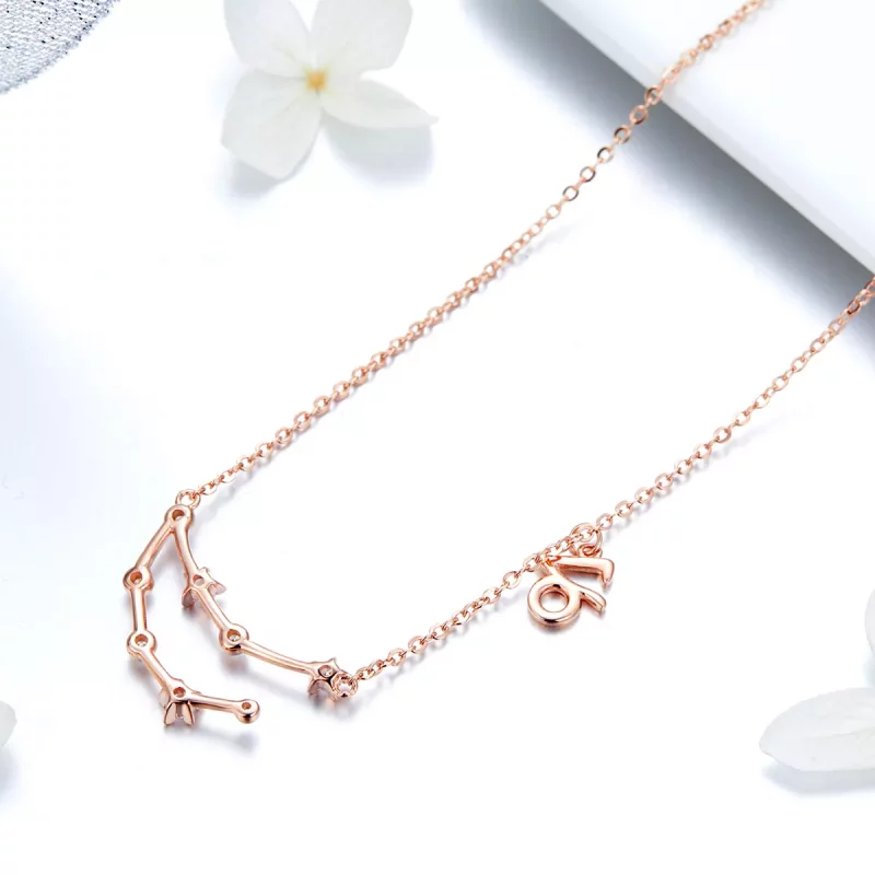 (afbeelding voor) Pandora Style Steenbok Ketting - BSN026 - Bekijken 4
