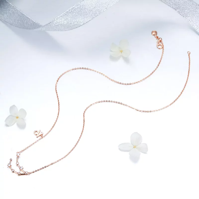 (afbeelding voor) Pandora Style Steenbok Ketting - BSN026 - Bekijken 5