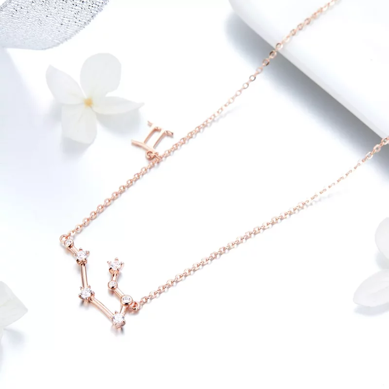 (afbeelding voor) Pandora Style Tweelingen Ketting - BSN015 - Bekijken 3