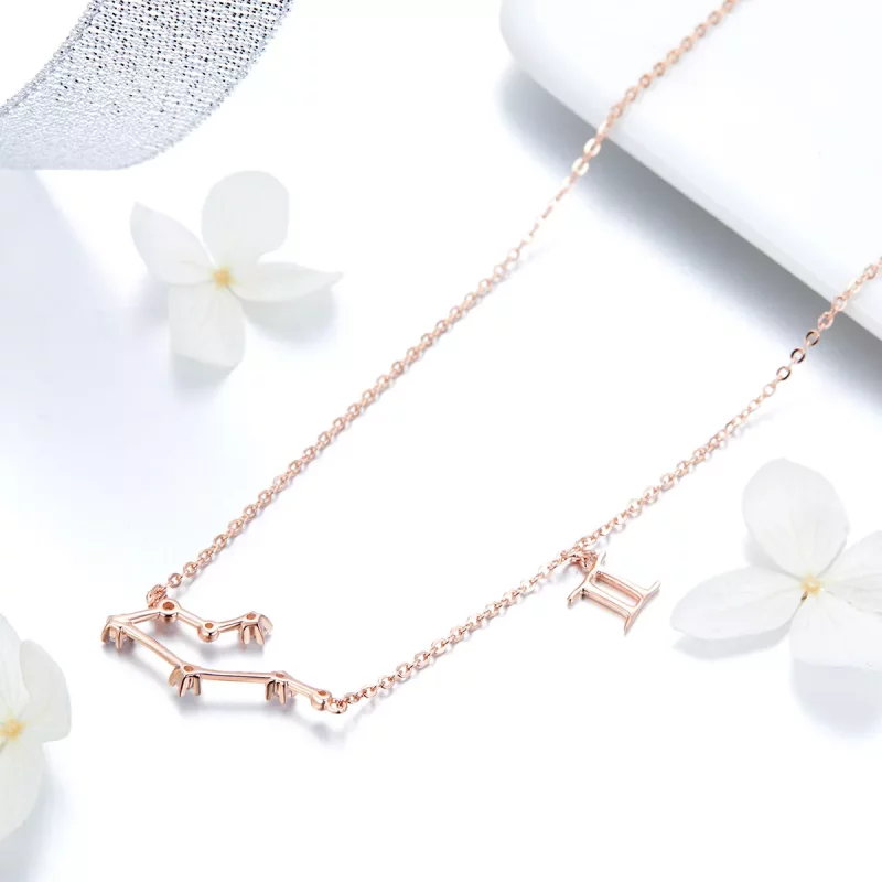 (afbeelding voor) Pandora Style Tweelingen Ketting - BSN015 - Bekijken 4