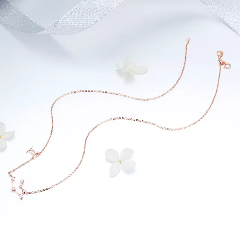 (afbeelding voor) Pandora Style Tweelingen Ketting - BSN015 - Bekijken 5