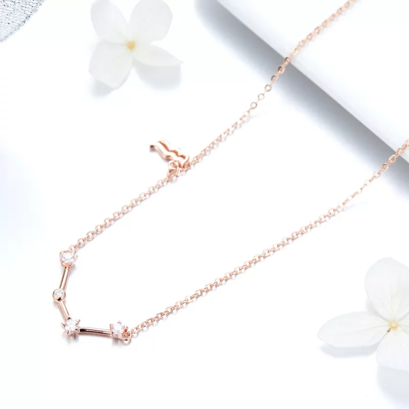 (afbeelding voor) Pandora Style Waterman Ketting - BSN016 - Bekijken 3