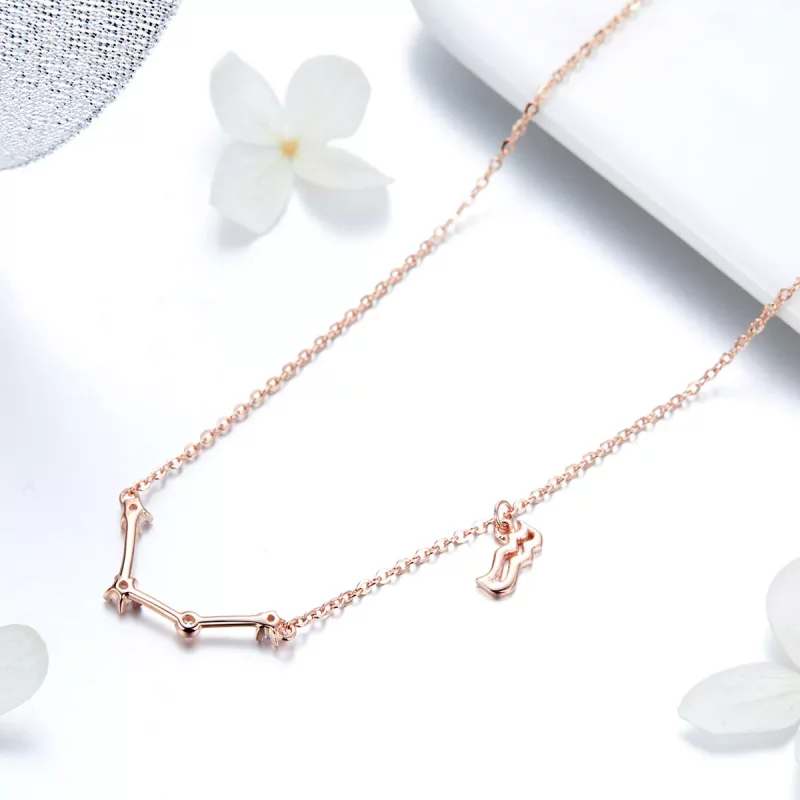 (afbeelding voor) Pandora Style Waterman Ketting - BSN016 - Bekijken 4