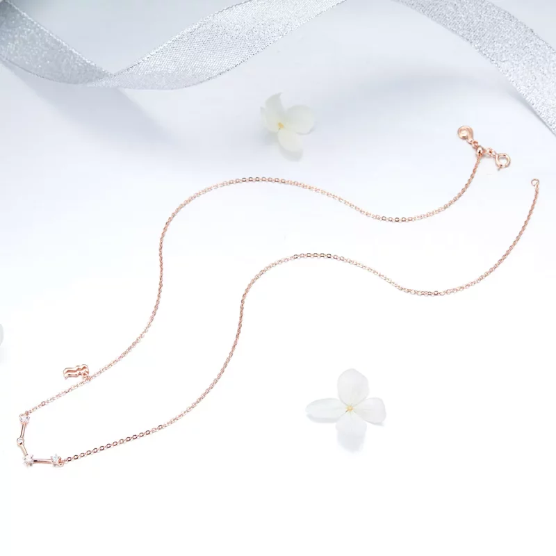 (afbeelding voor) Pandora Style Waterman Ketting - BSN016 - Bekijken 5