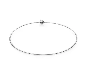(afbeelding voor) Pandora Essence Rose Ketting 397296