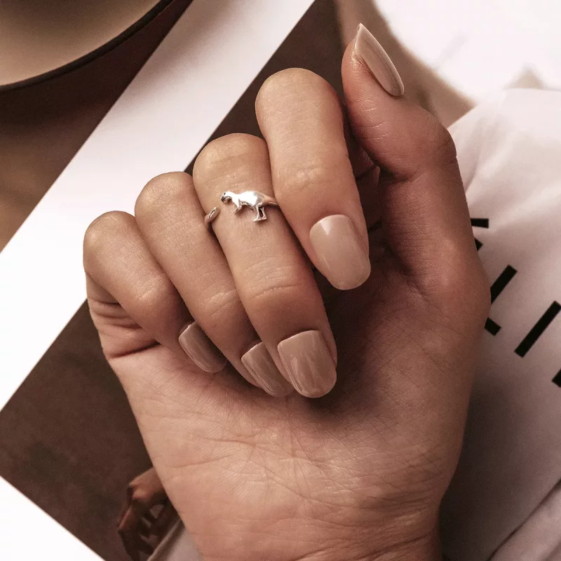 (afbeelding voor) Pandora Style Dinosaurus Open Ring - BSR226 - Bekijken 7