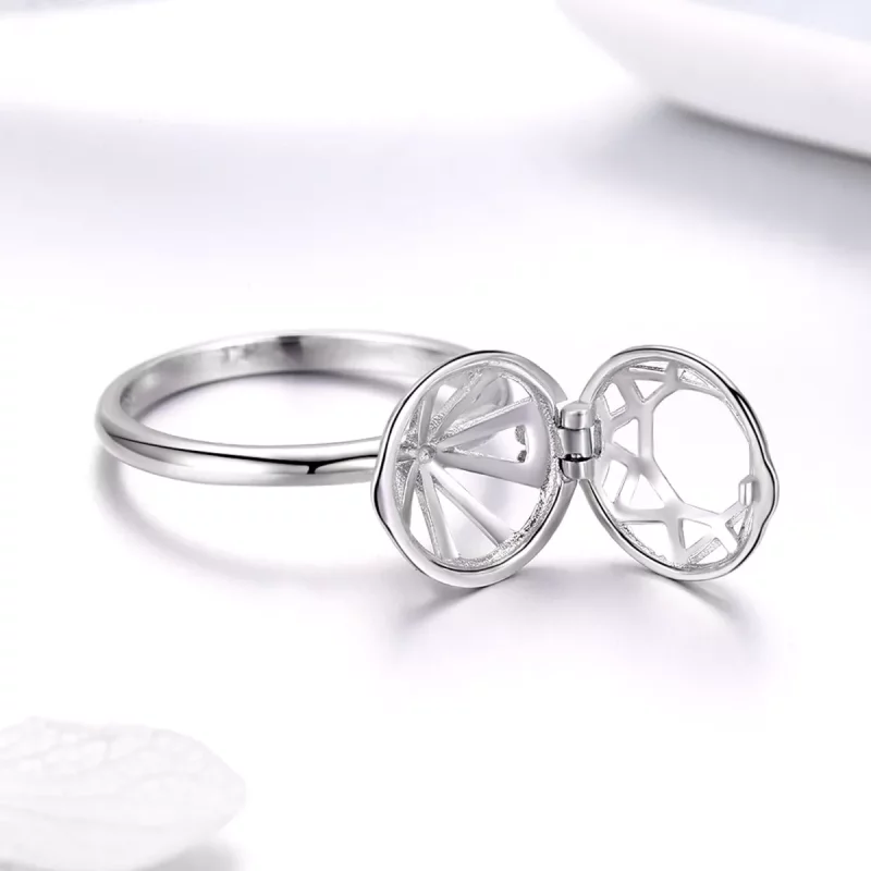 (afbeelding voor) Pandora Style Getuigenis van liefde Ring - SCR492 - Bekijken 6