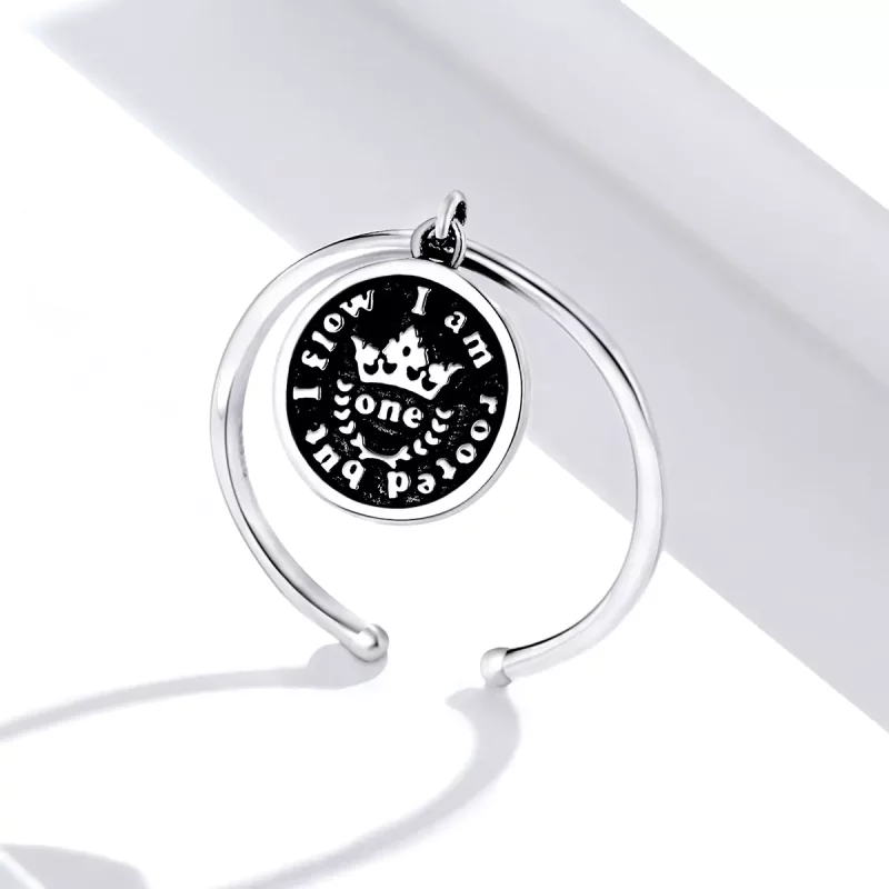 (afbeelding voor) Pandora Style Vintage munten Open Ring - SCR655 - Bekijken 3