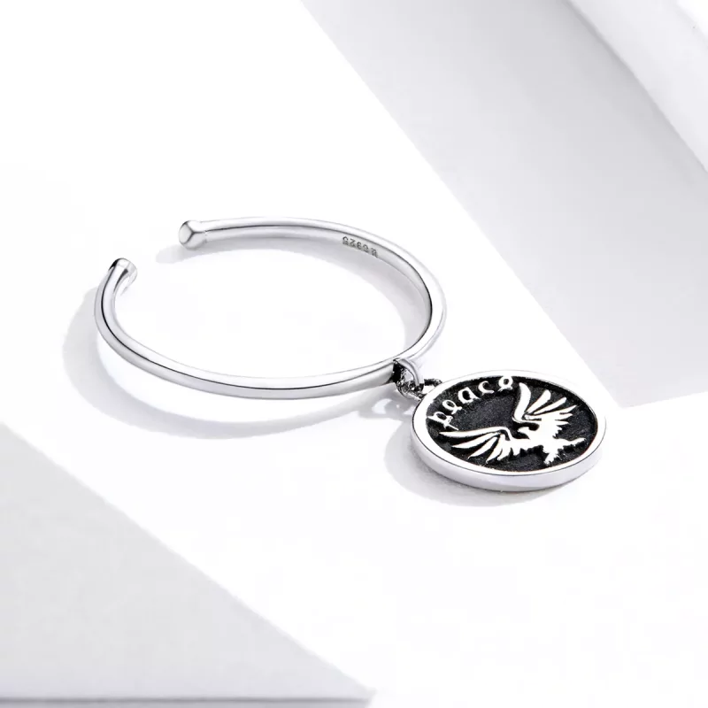 (afbeelding voor) Pandora Style Vintage munten Open Ring - SCR655 - Bekijken 4