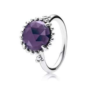 (afbeelding voor) Pandora Zilveren Glanzende Amethist Ring 190910Nbc
