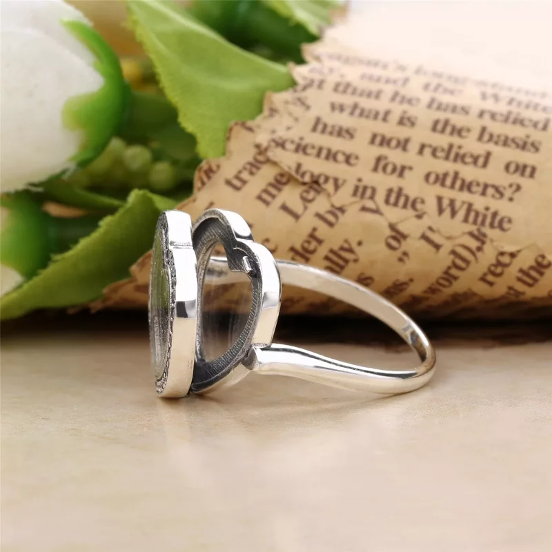(afbeelding voor) Sprankelende Pandora Medaillon Ring 197252CZ - Bekijken 3