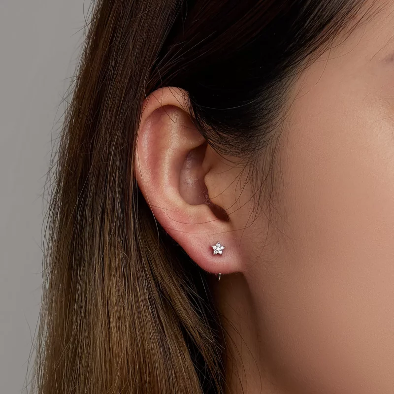 (afbeelding voor) Pandora Style Eenvoudige Ster Oorknopjes - SCE1421 - Bekijken 6