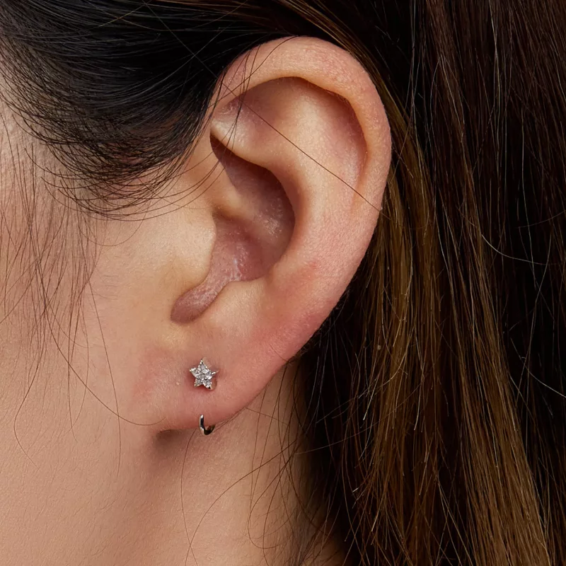 (afbeelding voor) Pandora Style Eenvoudige Ster Oorknopjes - SCE1421 - Bekijken 7