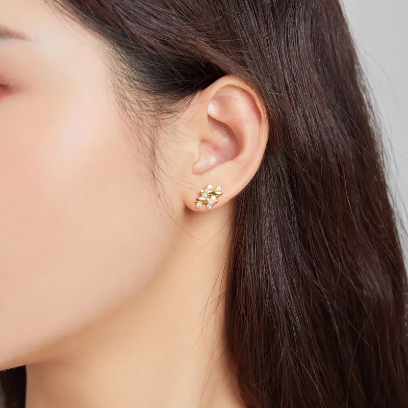 (afbeelding voor) Pandora Style Geheim Symbool - # Oorknopjes - SCE1071 - Bekijken 4