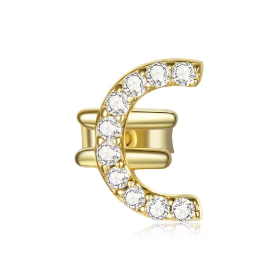 (afbeelding voor) Pandora Style Geheim Symbool - € Oorknopjes - SCE1074